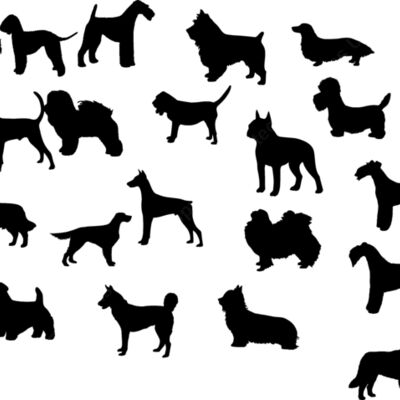 184 Thumbnail