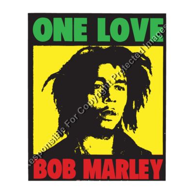 BOB MARLEY ONE LOVE Thumbnail