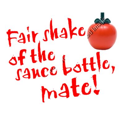 FAIR SHAKE OF THE SAUCE BOTTLE MATE Thumbnail