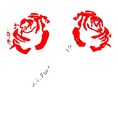 SKULL OF ROSES Thumbnail