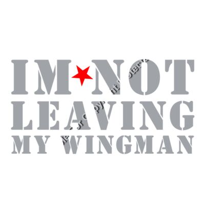 IM NOT LEAVING MY WINGMAN Thumbnail