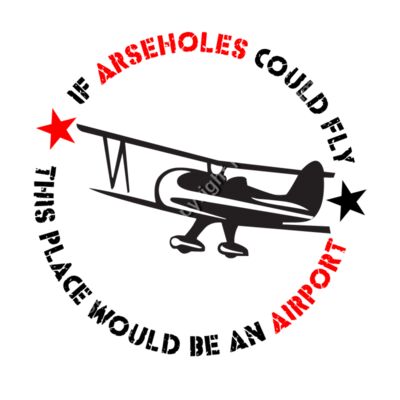 IF ASSHOLES COULD FLY Thumbnail