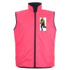 JB's Hi Vis 4602.1 Reversible Vest Thumbnail