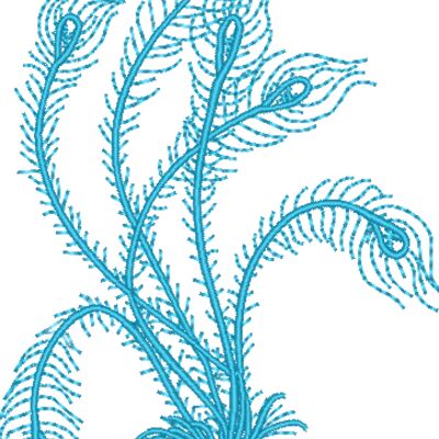 Feathers Thumbnail