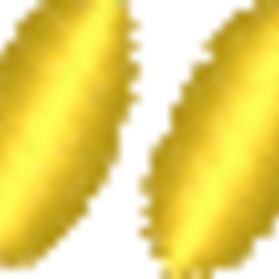 Diacritic Thumbnail