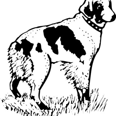 Dogs Thumbnail