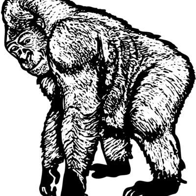 Primate Thumbnail