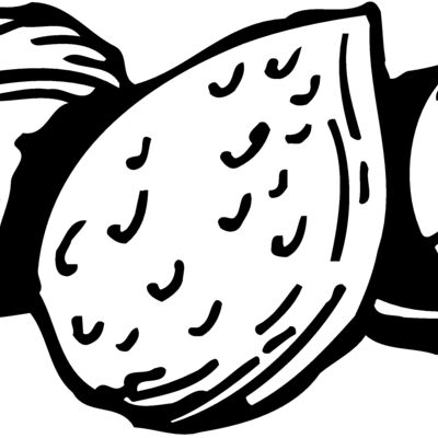Nuts Thumbnail